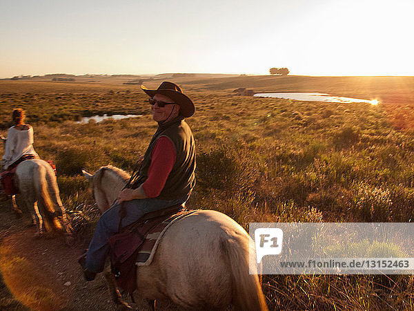 Senior man riding a Criollo horse Uruguay