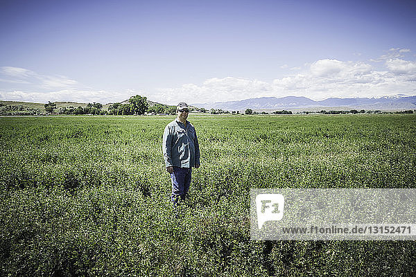 Mature man in field  Billings  Montana  USA