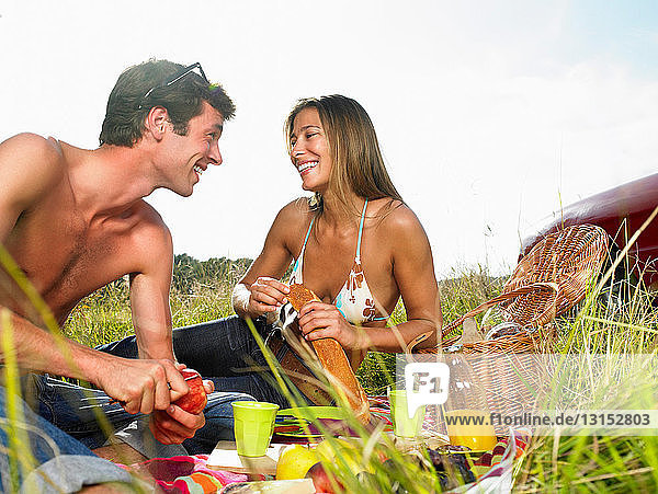 Couple having a picnic in a field