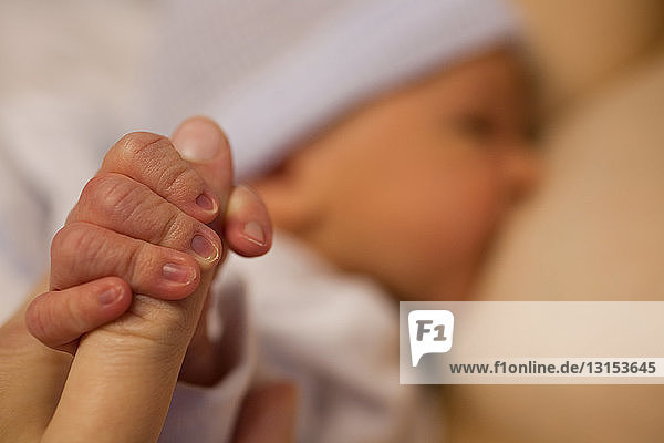 Newborn baby boy gripping parent's finger