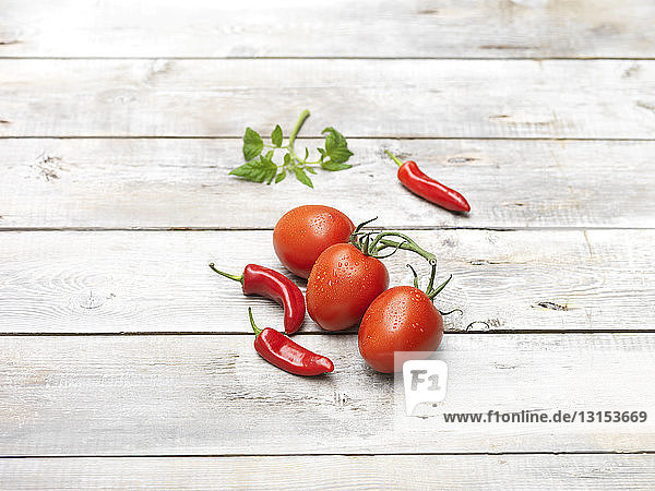 Rote Chili  saftige süße Tomaten  rohes grünes Basilikum