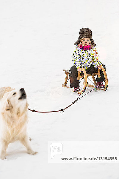 Girl being pulled by dog on toboggan in snow