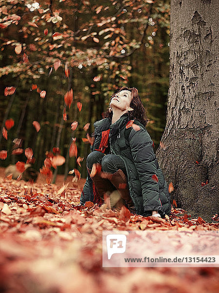Frau wirft Herbstblätter im Wald in die Luft  Dyrehaven  Kopenhagen  Dänemark