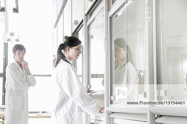 Chemiestudenten beim Abzug im Labor