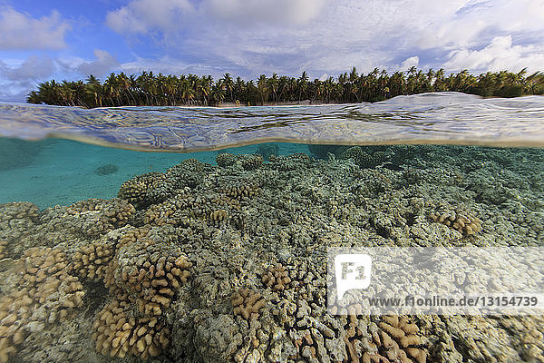 Unterwasser- und Oberflächenansicht des Korallenriffs im Palmerston-Atoll  Cook-Inseln