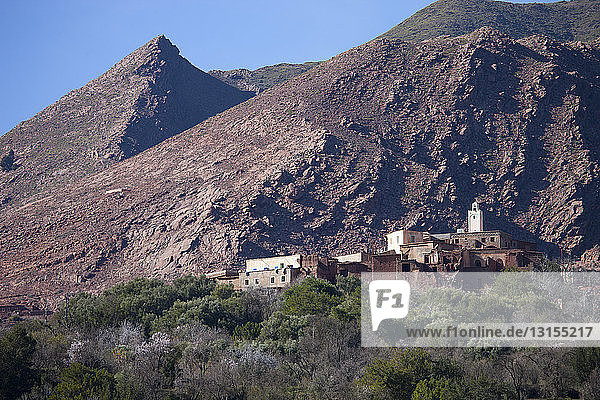Blick auf Dorf und Moschee  Atlasgebirge  Marokko