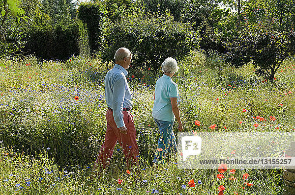 Older couple walking in field of flowers