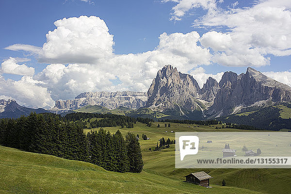 Malerische Landschaft  Alto Alige  Südtirol  Italien
