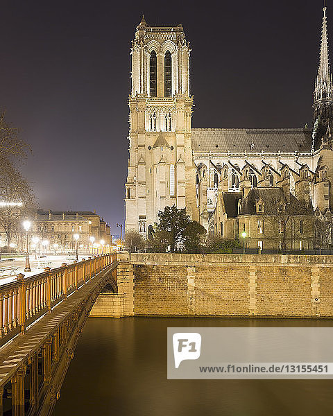View of Notre Dame Cathedral and Pont au Double at night  Paris  France
