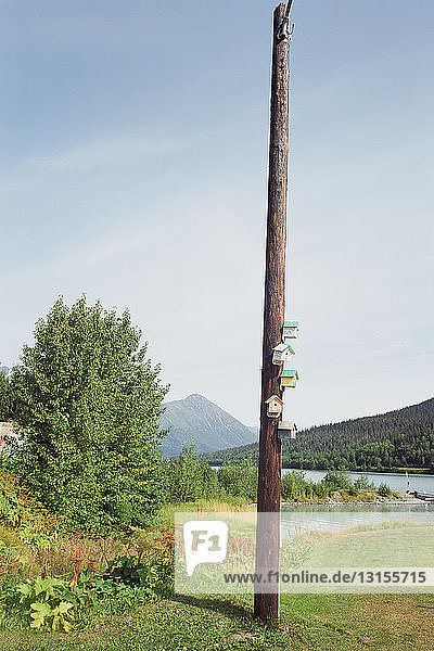 Vogelhäuschen auf Telefonmast  Seward  Alaska