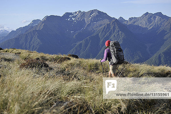 Young female hiker hiking the Kepler Track  New Zealand