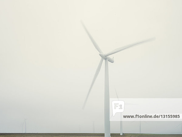 Windkraftanlage im dichten Nebel  Thurso  Sutherland  Schottland