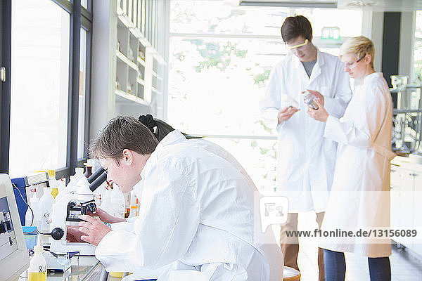 Chemistry students using microscopes in laboratory