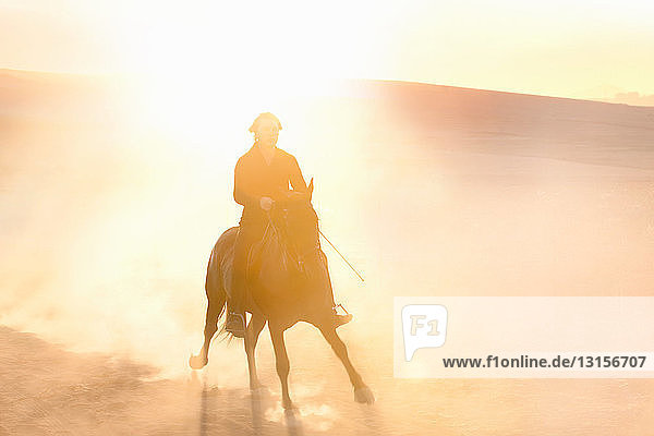 Silhouette eines Mannes auf einem Pferd im Feld