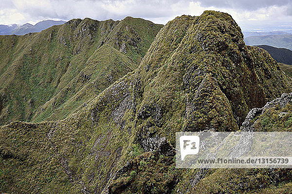 Fernblick auf eine Wanderin  die in einer Berglandschaft wandert  Tararua Ridge  Neuseeland