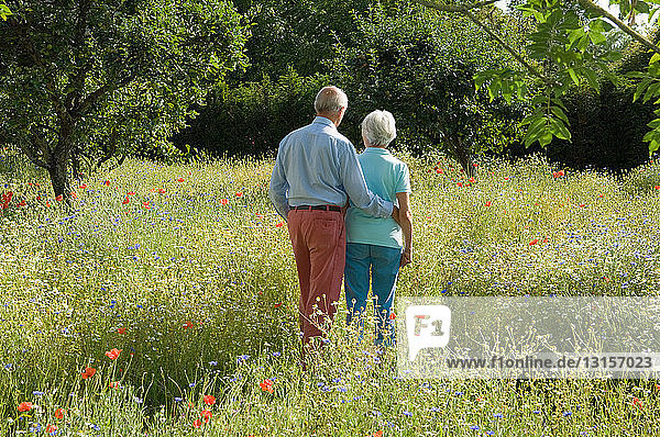 Older couple walking in field of flowers