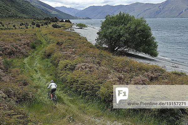 Frau beim Mountainbiking auf einem Pfad  Neuseeland