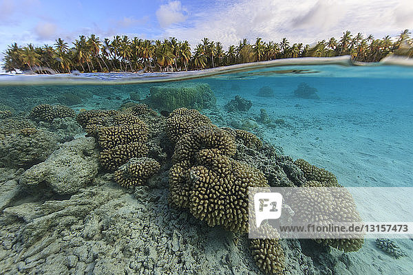 Unterwasser- und Oberflächenansicht des Korallenriffs im Palmerston-Atoll  Cook-Inseln
