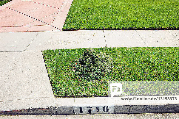 Haufen von gemähtem Gras auf dem Bürgersteig einer Vorstadt