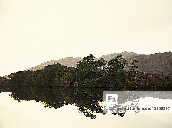 Blick auf einen ruhigen See und Bäume  nordwestliche Highlands  Schottland  UK