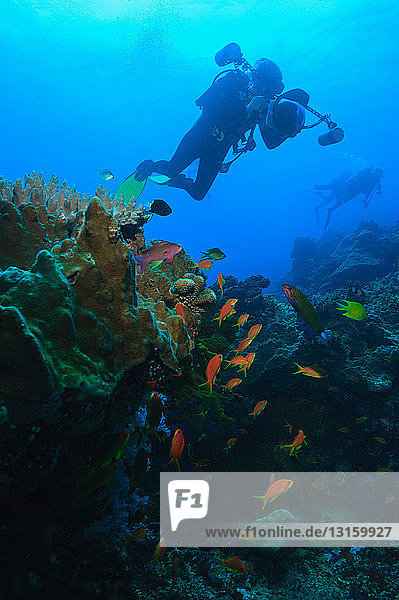 Diver taking pictures of coral reef