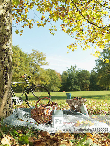 Picnic and bicycle in a field in Autumn