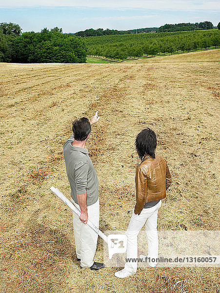 Architects discussing in a field