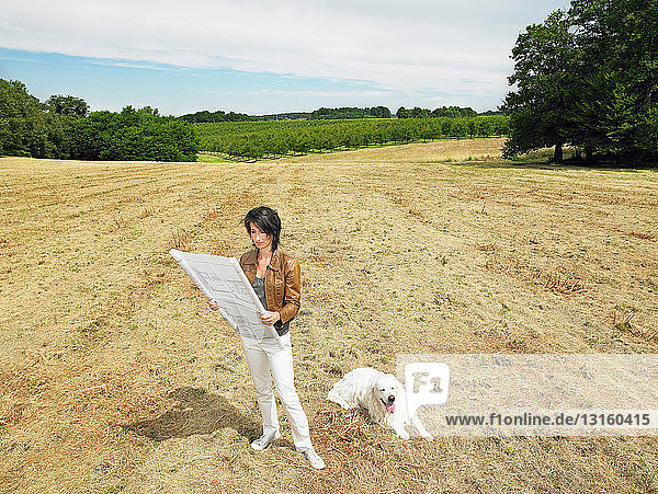 Architect in a field