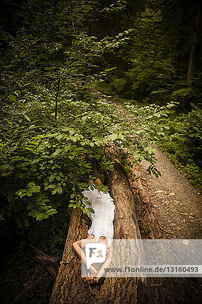 Mittlere erwachsene Frau in weißem Kleid auf einem umgestürzten Baum liegend  Arme über den Kopf erhoben