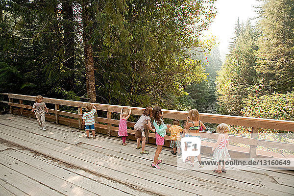 Gruppe von Kindern steht auf einer Holzbrücke im Wald
