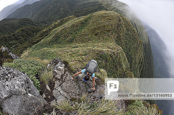 Blick von oben auf eine Wanderin  die einen Berg besteigt  Tararua Ridge  Neuseeland