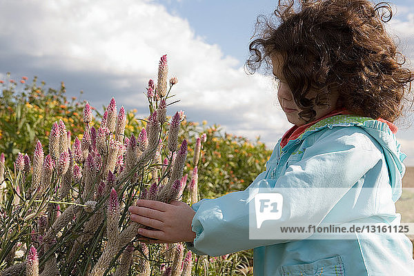 Young girl touching wildflowers