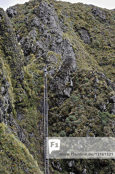 Fernblick auf eine Wanderin  die eine Bergleiter erklimmt  Tararua Ridge  Neuseeland
