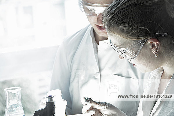 Wissenschaftler untersuchen ein Reagenzglas im Labor