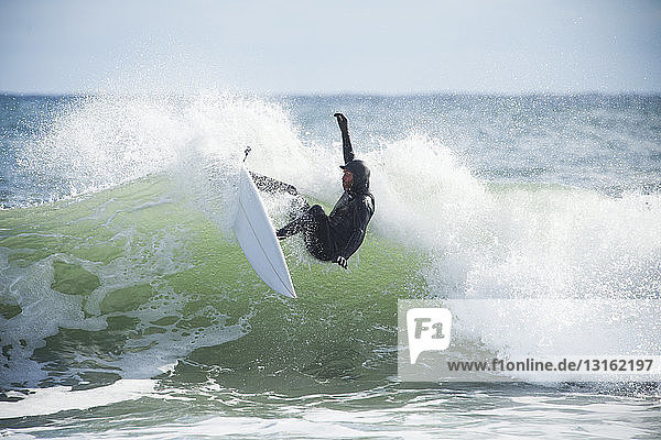 Male surfer surfing ocean wave  Gloucester  Massachusetts  USA