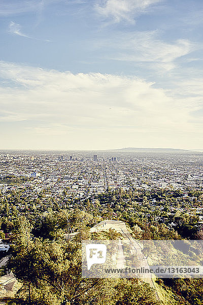Stadtzentrum von Los Angeles  Blick vom Griffith Observatorium  USA