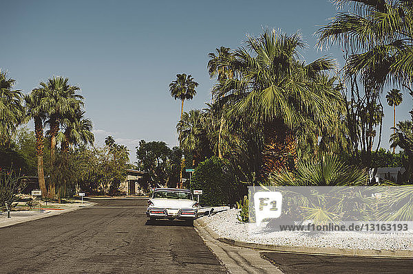 Oldtimer auf einer Vorstadtstraße geparkt  Palm Springs  Kalifornien  USA