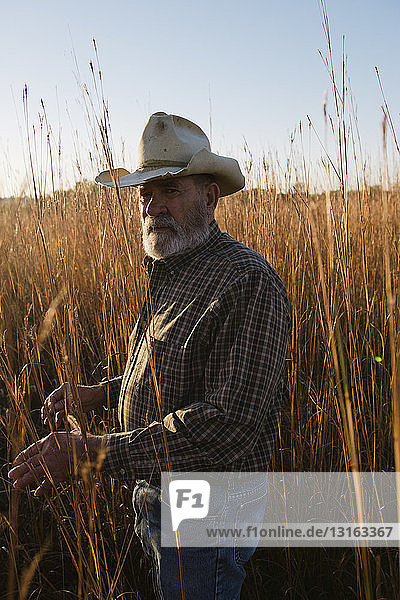 Porträt eines älteren männlichen Farmers im Langgras  Plattsburg  Missouri  USA