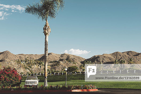 Blick auf Park und Berge  Palm Springs  Kalifornien  USA