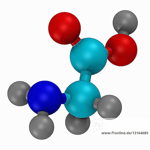 Kugel- und Stabmodell der Aminosäure Glycin