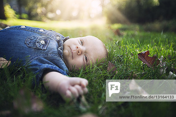 Kleiner Junge in Jeanshemd auf herbstblattbedecktem Gras im Sonnenlicht liegend und wegschauend