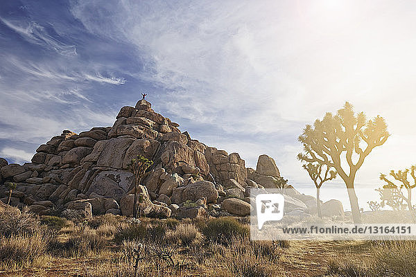 Joshua Tree National Park California USA