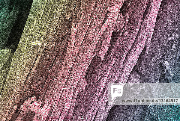 Rasterelektronenmikroskopische Aufnahme von Asbest  2000x