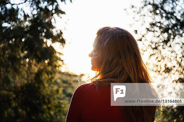 Rear view of mid adult woman gazing over mountain forest at sunset  Palomar  California  USA