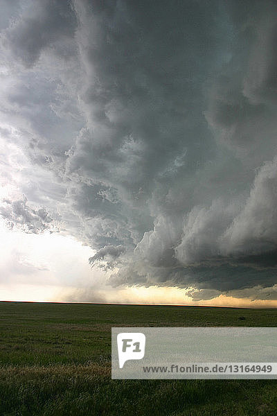 Ausströmende Winde bilden eine dramatische Schelfwolke aus einem Superzellen-Gewitter  Akron  Colorado  USA