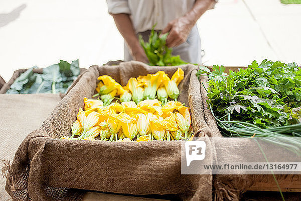 Farmer selling organic vegetables on stall
