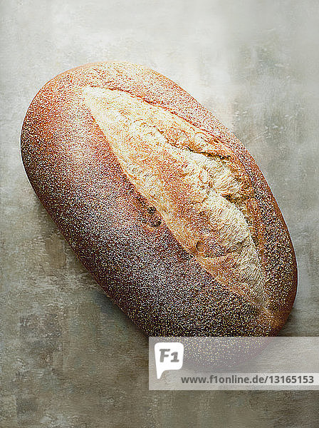 Frisch gebackenes rustikales Brot