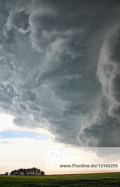 Dramatische Sturmwolke über Feldern  Hebron  Nebraska  USA