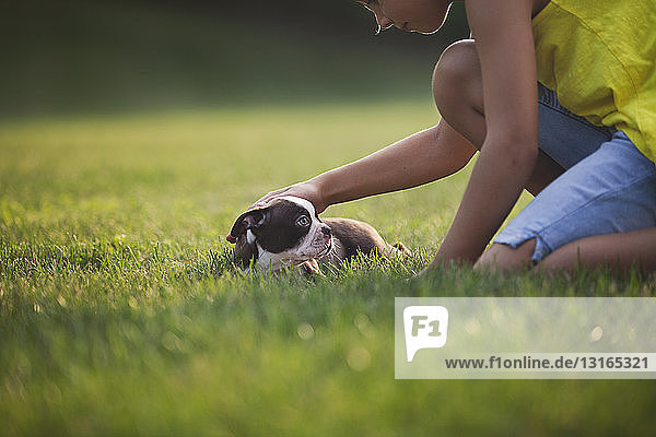 Seitenansicht eines auf Gras knienden Mädchens das einen Boston-Terrier-Welpen streichelt