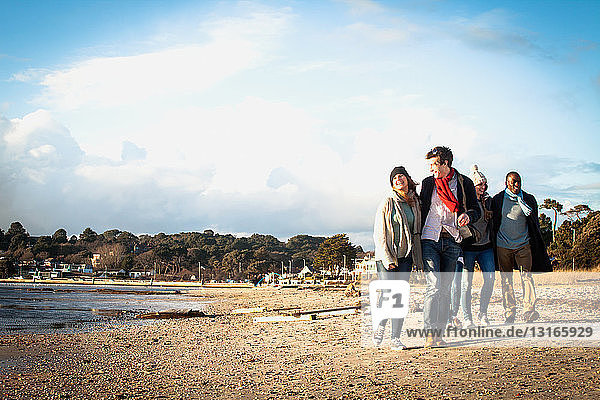 Five adult friends out walking on the beach